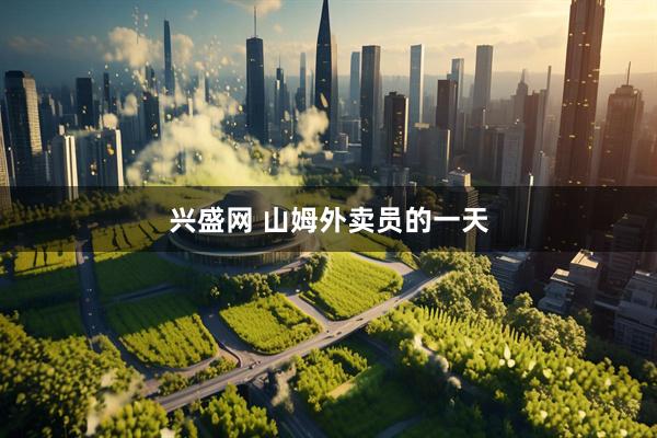 兴盛网 山姆外卖员的一天