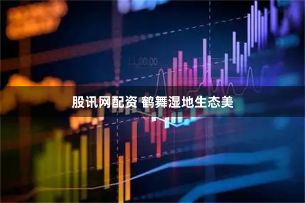 股讯网配资 鹤舞湿地生态美