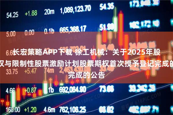 长宏策略APP下载 徐工机械：关于2025年股票期权与限制性股票激励计划股票期权首次授予登记完成的公告