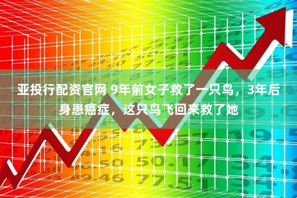 亚投行配资官网 9年前女子救了一只鸟，3年后身患癌症，这只鸟飞回来救了她